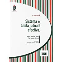 Los mejores  - Sistema de tutela judicial efectiva